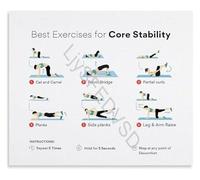 KCDFDVJFBM Core Strengthening Exercises Poster Cat Camel Pelvic Bridge Workout Guide for Stability and Mobility(Unframed,08x12inch(20x30cm))
