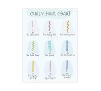 KCDFDVJFBM Curly Hair Classification Chart Professional Typing System for Hairstylists Canvas Wall-Art Salon Decor Barber Gift(Unframed,08x12inch(20x30cm))