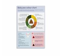 KCDFDVJFBM Decode Poop Poster Infant Bowel Movement Color Reference Educational Wall-Art for Parenting Resource Nursery Home Living Room Decor(Unframed,12x18inch(30x45cm))