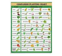 KCDFDVJFBM Educational Garden, Companion Planting Chart for Vegetable Pairings, Canvas Wall-Art for Classroom, Teacher's Lounge, Home Office(Unframed,12x18inch(30x45cm))