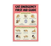 KCDFDVJFBM Emergency Cat First Aid Choking CPR Knowledge Poster Canvas Print Wall-Art for Modern Clinic Decor(Framed,12x18inch(30x45cm))