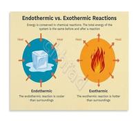 KCDFDVJFBM Endothermic vs Exothermic Reactions Educational Canvas Print Science Wall-Art Poster for Chemistry Teachers and Students Study Room(Framed,12x18inch(30x45cm))