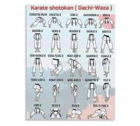 KCDFDVJFBM Essential Karate Stances Poster Martial Arts Dojo Canvas Wall-Art(Unframed,08x12inch(20x30cm))