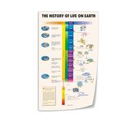 KCDFDVJFBM Evolution of Life Poster Canvas Wall-Art Earth History Timeline Science Chart Print for Classroom Study Room Living Room Decor(Framed,12X18inch(30X45cm))