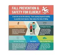 KCDFDVJFBM Fall Prevention Guide For Elderly Home Hazard Reduction Poster Canvas Wall-Art Decor(Framed,16x24inch(40x60cm))