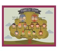 KCDFDVJFBM Family Tree Wall-Art for ' Room - Colorful Educational Poster, Learn About Family Members & Relationships | Personalized Gift & Decor for Nursery, Classroom(Unframed,12x18inch(30x45cm))