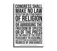 KCDFDVJFBM First Amendment & Bill of Rights Poster - Constitution Text Wall-Art for History Classroom, Law Office Decor(Framed,08x12inch(20x30cm))