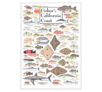 KCDFDVJFBM Fishes of the West Coast USA - Science Poster, Marine Ecosystem Educational Wall-Art for Home School, Tutoring Center, Living Room Decor(Framed,12x18inch(30x45cm))