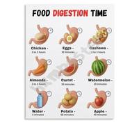 KCDFDVJFBM Food to Digestion Time Chart Educational Health Poster Digestive System Canvas Wall-Art for Home Office Clinic Room Decor(Framed,12x18inch(30x45cm))
