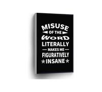 KCDFDVJFBM Funny Language Quote Wall-Art Misuse of the Word Literally Makes Me Figuratively Insane Canvas Print Teacher Gift for Home Office School Decor(Unframed,12x18inch(30x45cm))