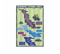 KCDFDVJFBM Gardening Chart Blueberry Ripening and Harvest Guide Poster Wall-Art Print for Kitchen Farmhouse Living Room Decor(Framed,08x12inch(20x30cm))