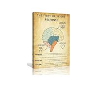 KCDFDVJFBM Giclee Artwork for Home The Fight or Flight Response Poster Wall-Art Mental Health Office Decorations Wall Bathroom(Unframed,08x12inch(20x30cm))