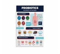 KCDFDVJFBM Gut Health Canvas Print Probiotics Infographic Art for Kitchen Decor Wellness Center Office Wall Decor(Framed,08x12inch(20x30cm))