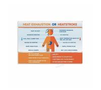KCDFDVJFBM Heatstroke and Heat Exhaustion Poster First Aid Chart for Workplace School Sports Field Decor(Framed,12X18inch(30X45cm))