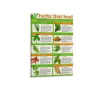 KCDFDVJFBM Herbal Medicine Poster Common Herbs and Their Benefits Educational Chart Canvas Print Wall-Art for Apothecary Clinic Office Decor(Unframed,08X12inch(20X30cm))