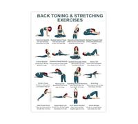 KCDFDVJFBM Home Back Workout Wall-Art Gentle No Equipment Exercises Seated Standing Upper Lower Back Chart Canvas Poster for Room(Framed,16x24inch(40x60cm))
