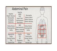 KCDFDVJFBM Human Body Systems Anatomy Poster, Abdominal Area Canvas Painting, Educational Wall-Art for Home School(Framed,08x12inch(20x30cm))