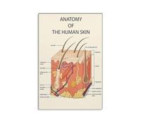 KCDFDVJFBM Human Skin Layers Educational Poster - Anatomy Chart for Esthetician Training, Skincare School & Spa Decor(Framed,08x12inch(20x30cm))