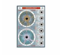 KCDFDVJFBM Iridology Chart Anatomy Poster, Eye Mapping Knowledge Guide for Clinic Office Classroom Decor, Holistic Health Wall-Art (Framed,16x24inch(40x60cm))