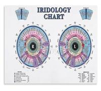 KCDFDVJFBM Iridology Overview Informative Chart Canvas Wall-Art Poster for Office or Consultation Room Decor(Framed,12x18inch(30x45cm))