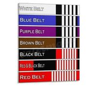 KCDFDVJFBM Jiu Jitsu Belt Stripes Poster Martial Arts BJJ Training Reference Wall-Art Canvas Print for Academy Locker Room Home Gym(Framed,12x18inch(30x45cm))