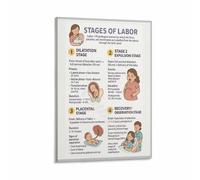 KCDFDVJFBM Labor Stages Chart Childbirth Delivery Education Poster Obstetrics Maternity Nursing Reference for Birth Class Nursery Decor(Framed,16x24inch(40x60cm))