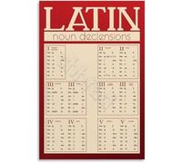 KCDFDVJFBM Latin Noun Declensions Chart Poster Grammar Reference for Classical Studies Wall-Art Decor(Unframed,16x24inch(40x60cm))