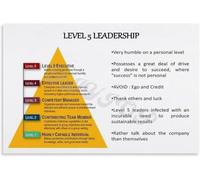 KCDFDVJFBM Leader Growth Pyramid Poster Office Leadership Chart Wall-Art Educational Decor for Business Coach Team Manager Training Home Office Inspiration(Framed,16x24inch(40x60cm))