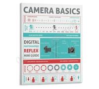 KCDFDVJFBM Learn Photography Poster Essential Camera Settings and Composition Basics Canvas Print(Framed,16x24inch(40x60cm))