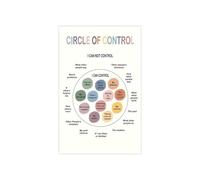 KCDFDVJFBM Mental Model for Clarity Poster The Circle of Control and Influence Critical Thinking Tool for Home Office and Library Study(Framed,12x18inch(30x45cm))
