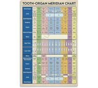 KCDFDVJFBM Meridian Tooth Chart for Anatomy Education Professional Poster Canvas Wall-Art Hospital Clinic Decor(Framed,16x24inch(40x60cm))