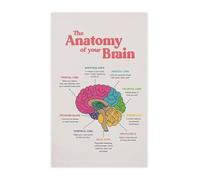 KCDFDVJFBM Modern Office Poster Brain Anatomy Mental Health Canvas Wall-Art for Counseling Room Decor(Framed,16x24inch(40x60cm))