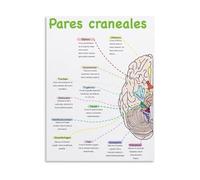 KCDFDVJFBM Nursing School Study Decor Canvas Wall-Art Cranial Nerves Anatomy Educational Chart for Clinic Office(Unframed,12x18inch(30x45cm))