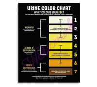 KCDFDVJFBM Occupational Heat Stress Poster Acclimatization Guidelines Water Rest Shade Protocol Training Wall-Art(Unframed,16x24inch(40x60cm))