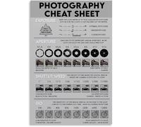 KCDFDVJFBM Photography Tips and Basics Poster Canvas Wall-Art Quick Study Guide for Living Room Bedroom Decor Educational Chart(Framed,08x12inch(20x30cm))
