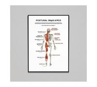 KCDFDVJFBM Posture Education Chart Anatomical Guide for Spine Health and Body Alignment School Health Education Classroom Poster(Framed,08x12inch(20x30cm))