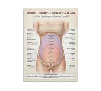 KCDFDVJFBM Pregnancy Tracking Fundal Height Vs Gestational Age Poster Uterine Growth Guide Wall-Art Canvas Painting for Home Decor and Gift(Framed,08x12inch(20x30cm))