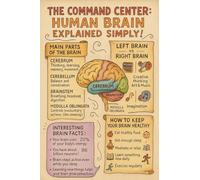 KCDFDVJFBM Psychology Classroom Decor Human Brain Poster Anatomy Educational Chart for Nursing Students Neurology Office(Unframed,08x12inch(20x30cm))