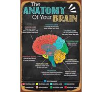 KCDFDVJFBM Retro Science Decor - The Human Brain Anatomy Poster in Vintage Style, Wall-Art for Garage Workshop, Study or Eclectic Living Room(Framed,16x24inch(40x60cm))