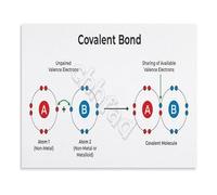 KCDFDVJFBM Science Educational Poster Chemical Bonding and Structures Canvas Wall-Art for High School College Chemistry Class(Unframed,08x12inch(20x30cm))