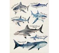 KCDFDVJFBM Sharks Educational | Colorful Sea Animals Wall-Art for Room, Nursery, Classroom Decor - Ocean Themed Learning Print for Preschool, Homeschool(12x18inch(30x45cm),Framed)