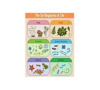 KCDFDVJFBM Six Kingdoms of Life Poster Biology Classification Chart Science Classroom Decor Educational Taxonomy Wall-Art for Teachers Students(Framed,12X18inch(30X45cm))