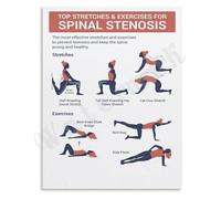 KCDFDVJFBM Spinal Mobility Poster Essential Stretches and Exercises Chart for a Healthy Back Reference Wall-Art(Framed,16x24inch(40x60cm))