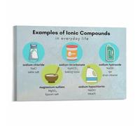 KCDFDVJFBM STEM Learning Poster Compounds in Daily Life Examples Chart Canvas Wall-Art for Room Decor(Unframed,16x24inch(40x60cm))