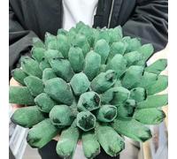 KCDFDVJFBM Stone Green Ghost Quartz Crystal Cluster Decorative Aquarium(810-1000g)