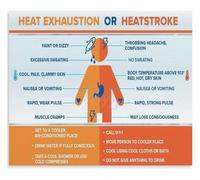 KCDFDVJFBM Summer Poster Avoid Heat Stroke Heat Illness Symptoms First Aid Educational Canvas Painting For Home Pool House Camping Room Wall-Art(Framed,12x18inch(30x45cm))