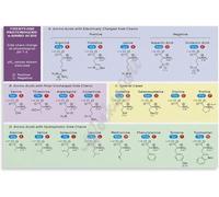 KCDFDVJFBM The Genetic Code Wall-Art Complete Amino Chart Biology Reference Print for Home Office Library Decor Science Aesthetic(Framed,08x12inch(20x30cm))