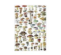KCDFDVJFBM The Mushroom Forager's Guide Poster - Comprehensive Identification Reference Chart - Vintage Style Educational Print for Hikers, Cooks, Botany Students(Framed,16x24inch(40x60cm))