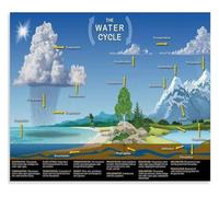 KCDFDVJFBM The Water Cycle Infographic Poster Canvas Wall-Art Weather Science for Classroom Bedroom Decor