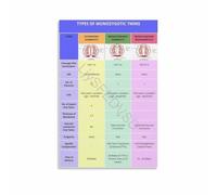 KCDFDVJFBM Twin Pregnancy Placentation Educational Anatomy Poster Office Clinic Wall Decor Canvas Print Human Body Science Diagram for Doctors Nurses Students(Unframed,16x24inch(40x60cm))